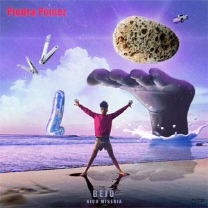 Disco Piedra Pómez de Bejo