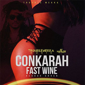 Disco Fast Wine de Conkarah