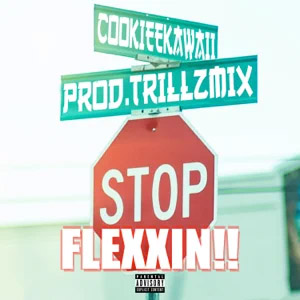 Disco Stop Flexxin'!! de Cookiee Kawaii