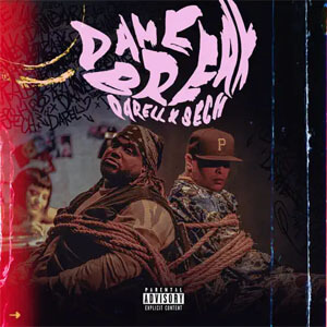 Disco Dame Break de Darell