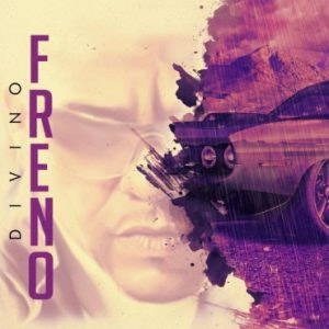Disco Freno  de Divino
