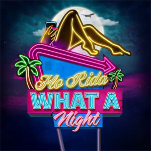 Disco What A Night de Flo Rida