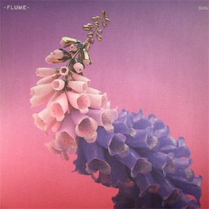 Disco Skin de Flume