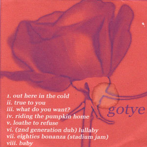 Disco Gotye de Gotye