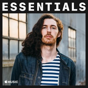 Disco Essentials de Hozier