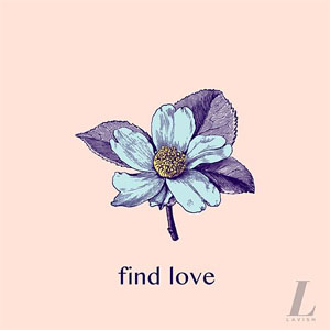 Disco Find Love de InnerCut