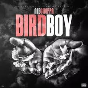 Disco Bridboy de NLE Choppa