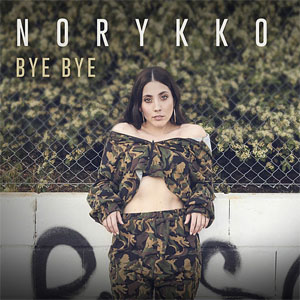 Disco Bye Bye de Norykko