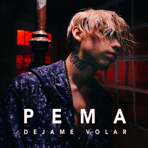 Disco Déjame Volar de Pema