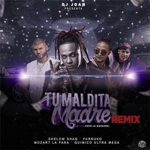 Disco Tu Maldita Madre (Remix) de Shelow Shaq