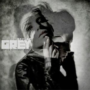 Disco Dance Without You de Skylar Grey