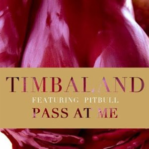 Disco Pass At Me de Timbaland