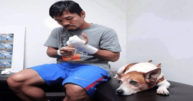 Es de raza Terrier y se llama Pacman Manny junto a su perro