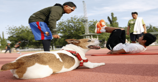 Manny se deprimió y decidió irse de la casa Su padre mató a su perro